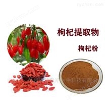 枸杞子提取物-多糖-枸杞粉