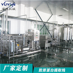 果汁飲料生產(chǎn)線 灌裝生產(chǎn)線