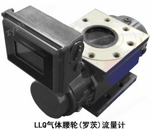 LLQ氣體腰輪(羅茨)流量計(jì)