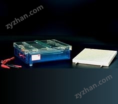北京六一等電聚焦多用途電泳槽DYCP-37B