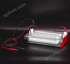北京六一快速凝膠電泳槽DYCP-44N