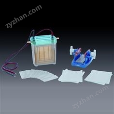 北京六一雙垂直電泳槽DYCZ-24EN