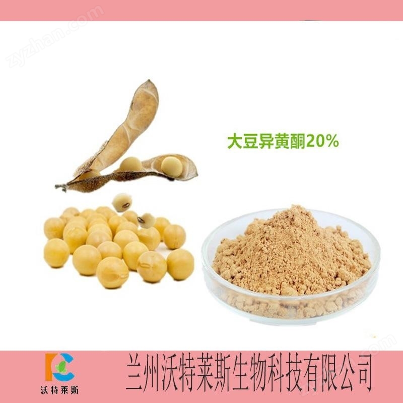 大豆提取物 大豆蛋白80% 大豆多肽粉