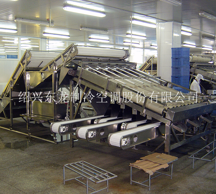 果蔬流態(tài)化速凍機(jī)